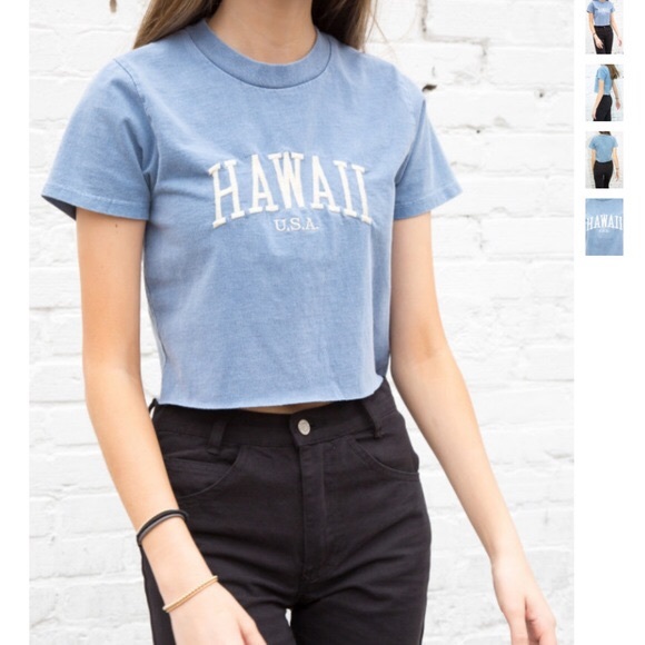 Brandy Melville Helena hawaii top - Picture 3 of 3